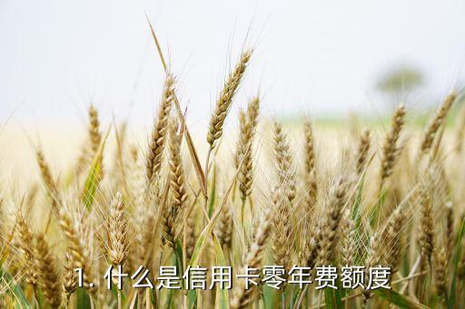 1. 什么是信用卡零年费额度