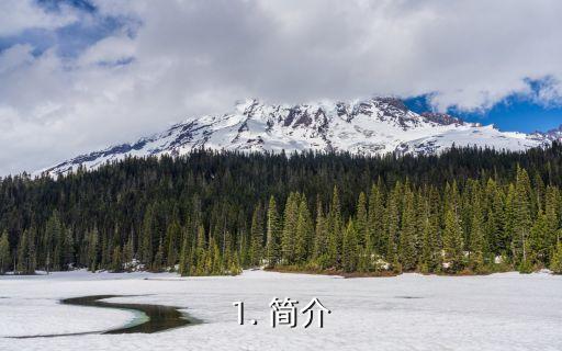 1. 简介