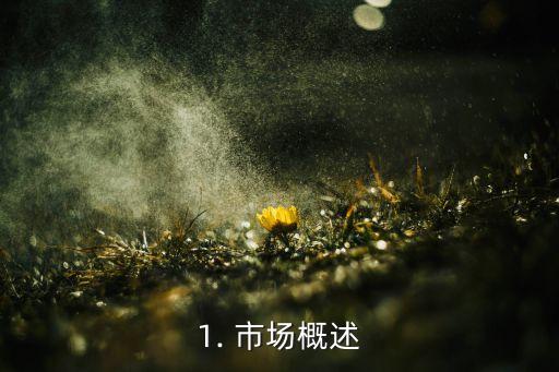 1. 市场概述