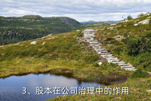 股本是什么意思，股本解释简介