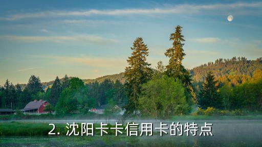 沈阳卡卡信用卡，沈阳卡卡信用卡的新标题：沈阳卡卡信用卡详情介绍