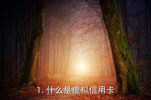 1. 什么是虚拟信用卡