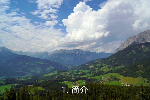 1. 简介