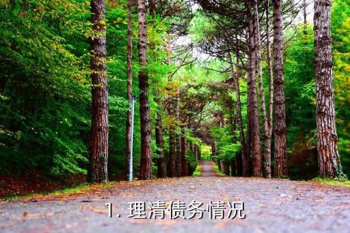 1. 理清债务情况