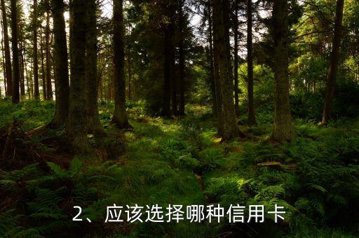 用信用卡办签证，信用卡办签证，从此申英美加澳轻松愉快