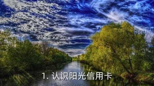 1. 认识阳光信用卡