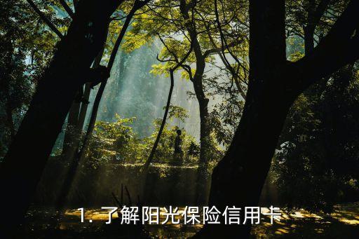 1. 了解阳光保险信用卡