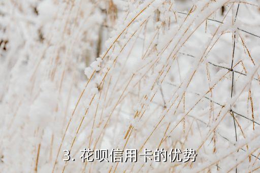 花呗高额信用卡，花呗信用卡：解决高额用卡难题