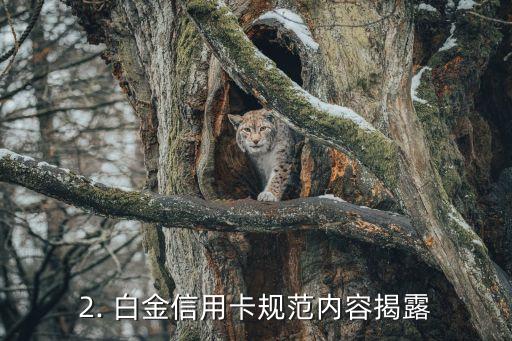 白金信用卡新规，新版白金信用卡规定揭露