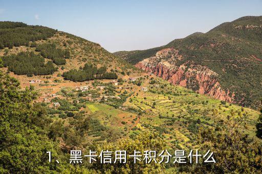 1、黑卡信用卡积分是什么