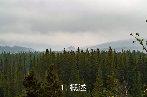 1. 概述