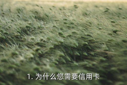 1. 为什么您需要信用卡