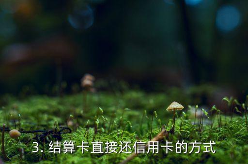 结算卡直接还信用卡，结算卡直接还信用卡，新型支付方式来袭