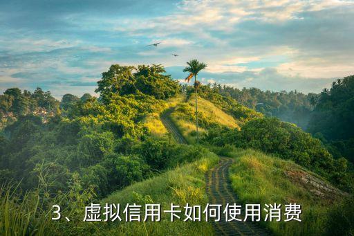 虚拟信用卡怎么消费，虚拟信用卡如何使用消费