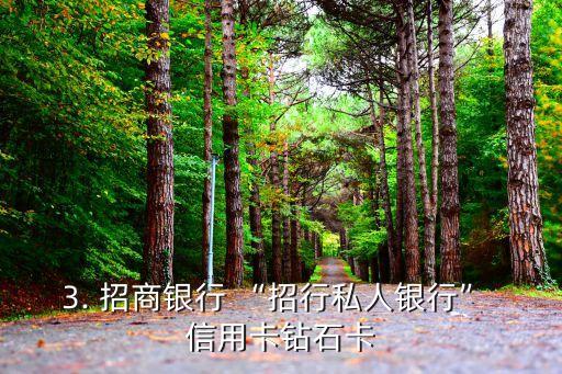 有哪些信用卡钻石卡，信用卡中的顶级——钻石卡有哪些？