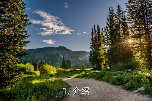 1. 介绍