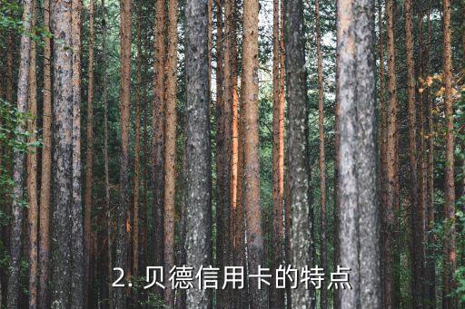 贝德信用卡，贝德信用卡：重新定义消费体验