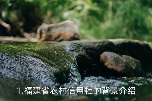 1.福建省农村信用社的背景介绍