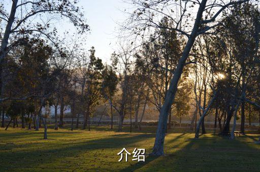 介绍