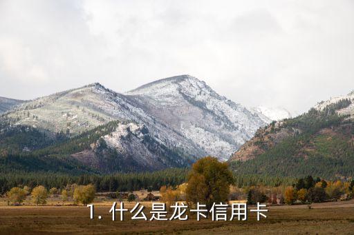 1. 什么是龙卡信用卡