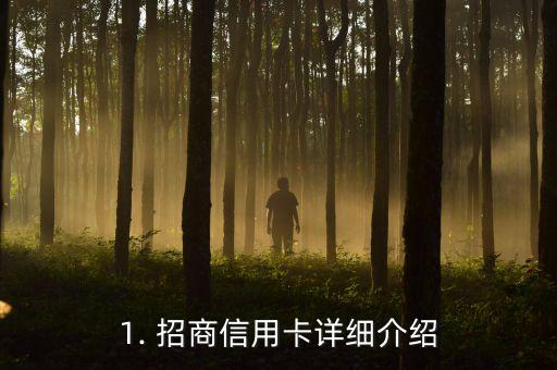 1. 招商信用卡详细介绍