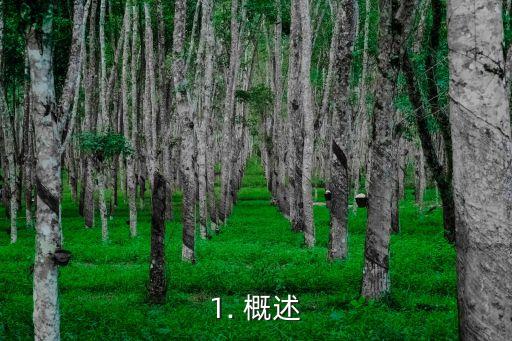 1. 概述