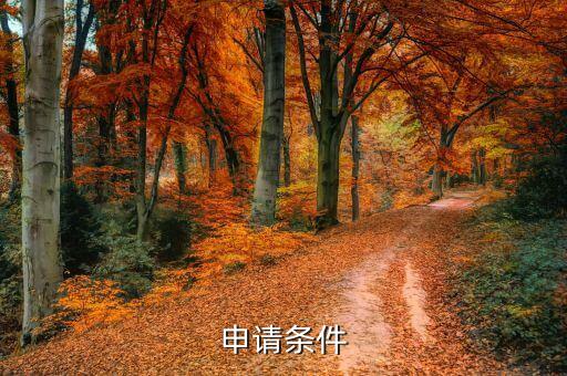 申请条件