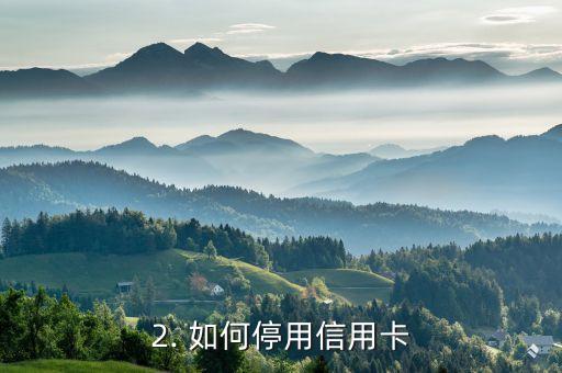 正室太太停信用卡，正室太太停用信用卡