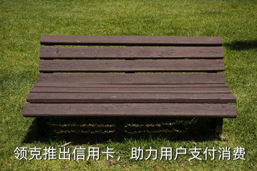 领克推出信用卡,助力用户支付消费