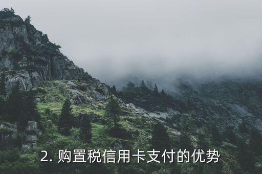 购置税信用卡支付，购置税信用卡支付：享受便捷优惠的方式
