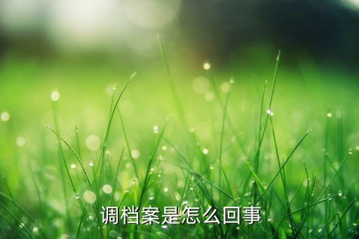 调档案是怎么回事