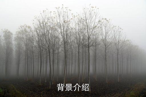 背景介绍