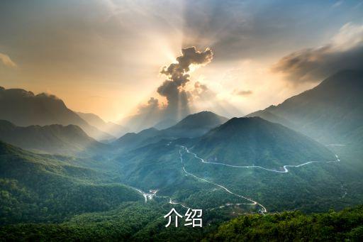 介绍