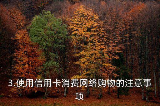 网络消费用信用卡，用信用卡消费网络购物的技巧与注意事项