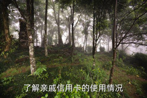 了解亲戚信用卡的使用情况