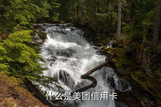 什么是美团信用卡