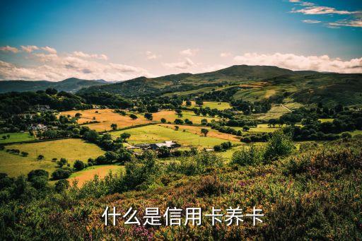 什么是信用卡养卡