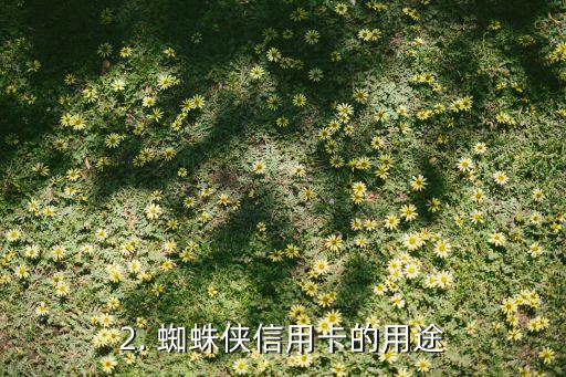 蜘蛛侠的信用卡，蜘蛛侠的信用卡——超级英雄也需要金融管理