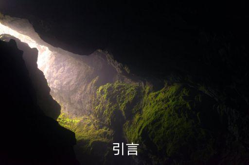 引言