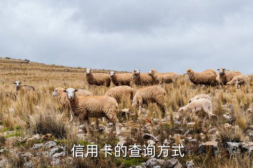 信用卡的查询方式