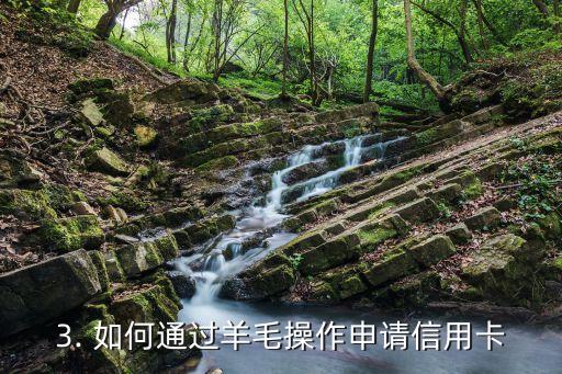 羊毛办信用卡，羊毛操作：申请信用卡