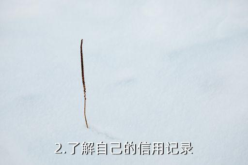 程序员申请信用卡，程序员申请信用卡：重新命名标题