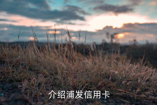 介绍浦发信用卡