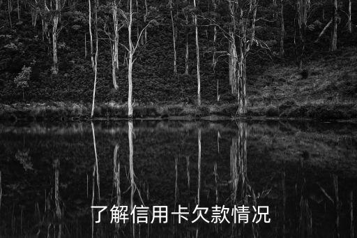 了解信用卡欠款情况