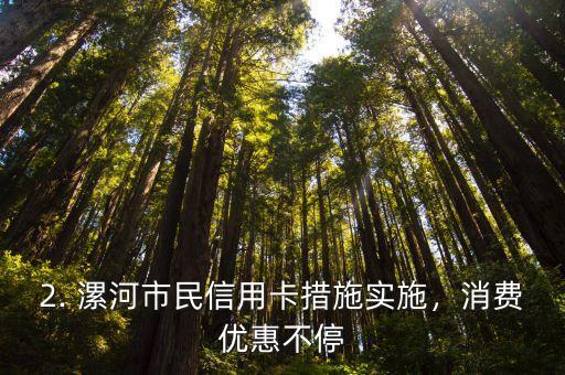 漯河民生信用卡，漯河市民信用卡措施实施，信用生活更方便。