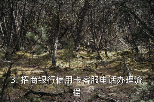 招商银行信用卡客服电话说办理服务，招商银行信用卡客服电话：提供办理服务