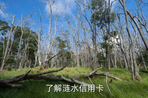 涟水信用卡申请办理，涟水地区信用卡申请办理