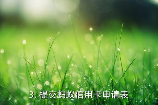 蚂蚁信用卡申请流程，蚂蚁信用卡申请步骤