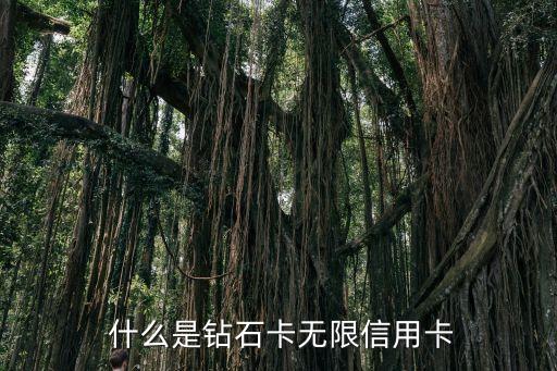 什么是钻石卡无限信用卡