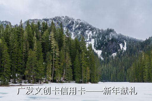 广发文创卡信用卡——新年献礼